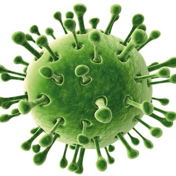 Исследование на ротавирусы, норовирусы